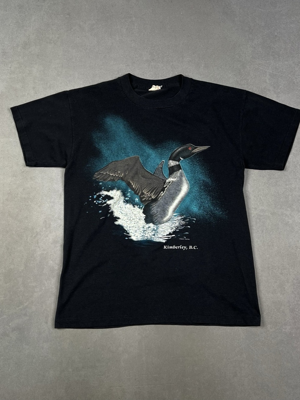 Vintage Nature Graphic Black Graphic Short Sleeve Tee